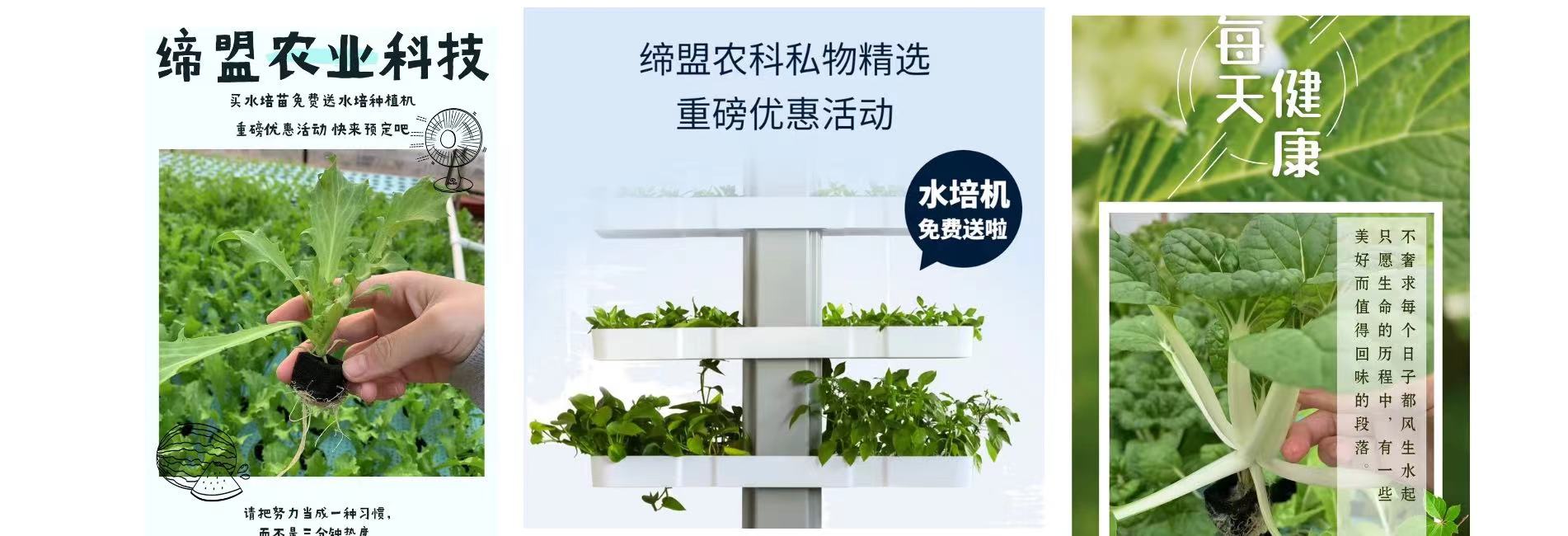 預付苗款免費送水培種植機